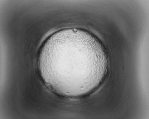 X0000084001501200703091855