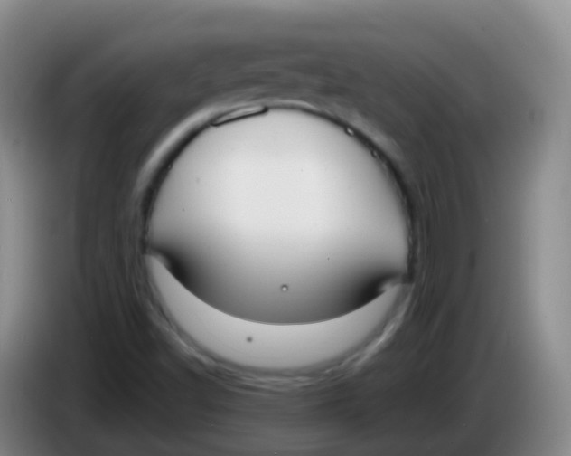 X0000084001502200703091855
