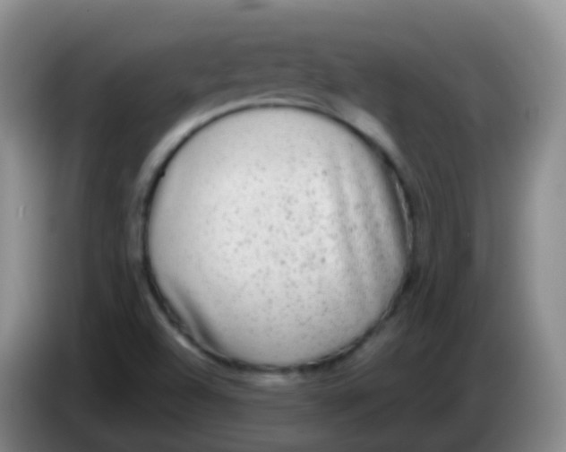 X0000084001504200703091855