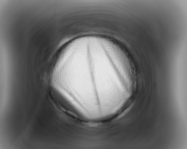 X0000084001505200703091855