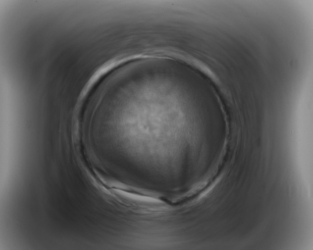 X0000084001506200703091855