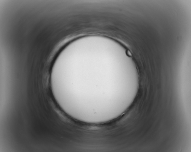 X0000084001507200703091855