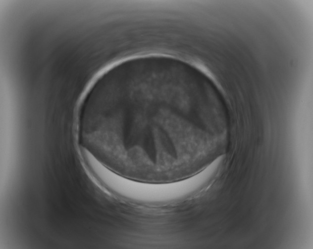 X0000084001508200703091855