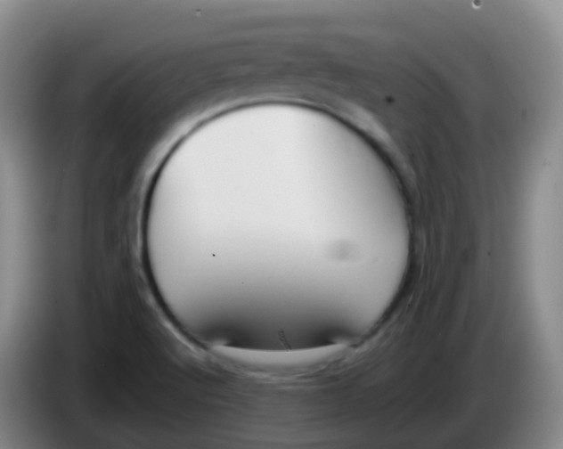 X0000084001512200703091855
