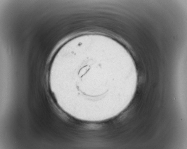 X0000084001514200703091855