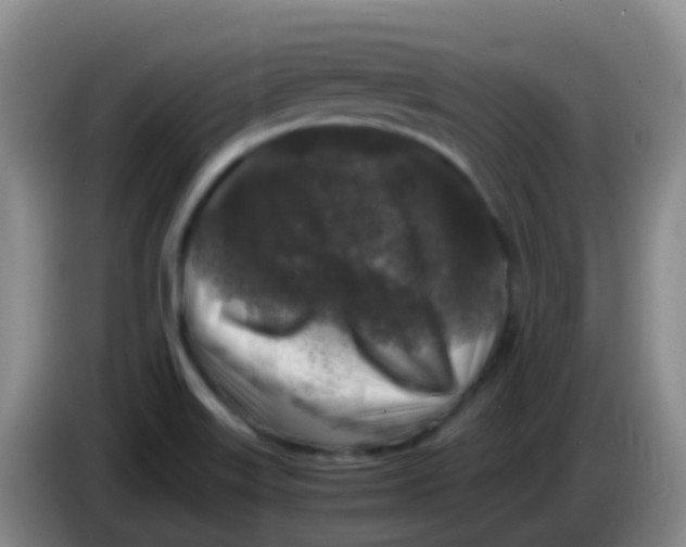 X0000084001515200703091855