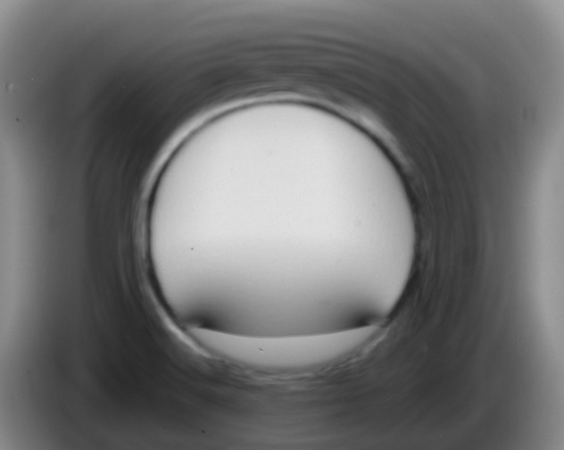 X0000084001516200703091855