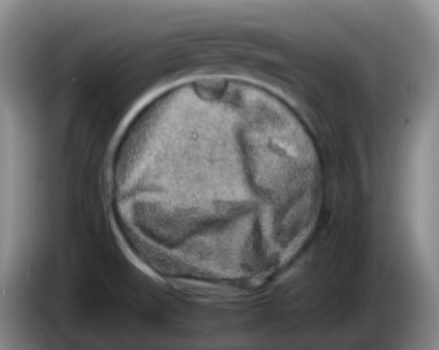 X0000084001519200703091855
