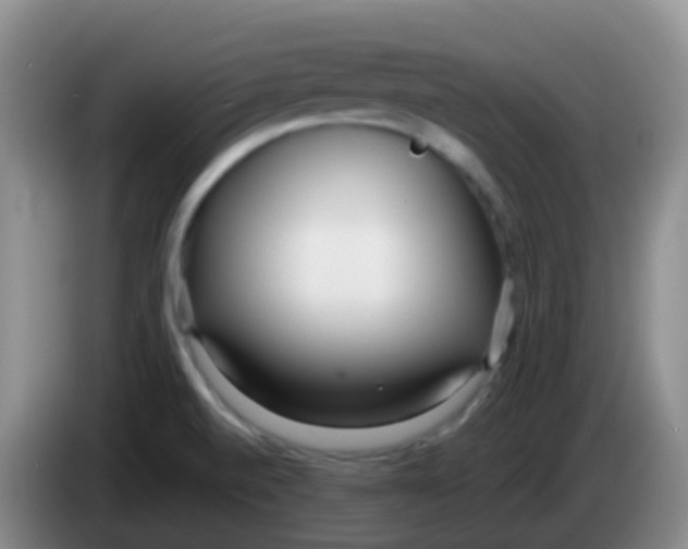 X0000084001520200703091855