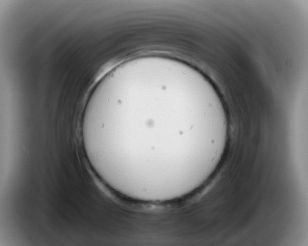 X0000084001521200703091855