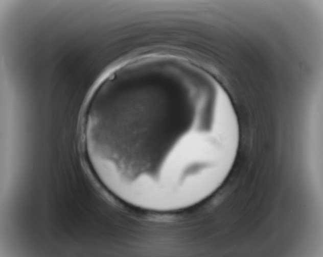 X0000084001522200703091855