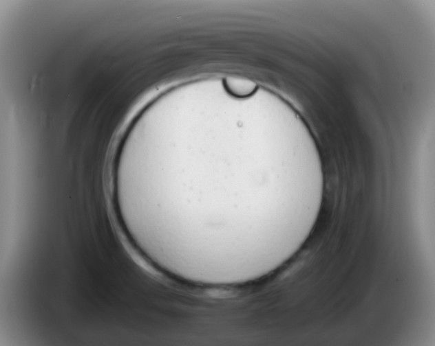 X0000084001523200703091855