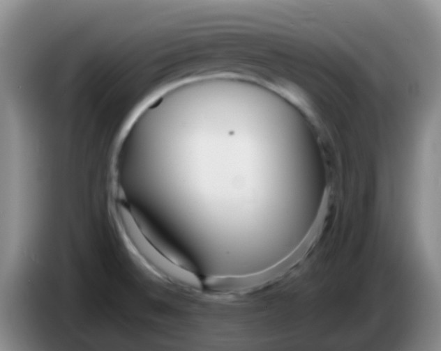 X0000084001524200703091855