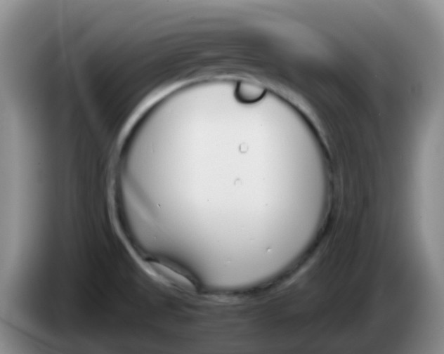 X0000084001525200703091855