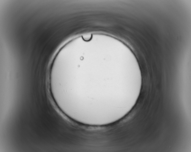 X0000084001526200703091855