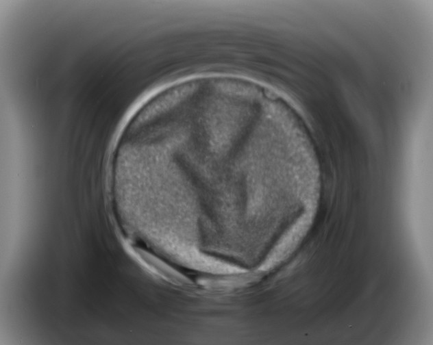 X0000084001527200703091855