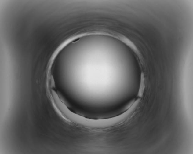 X0000084001528200703091855