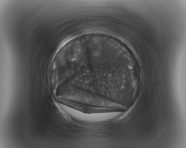 X0000084001529200703091855