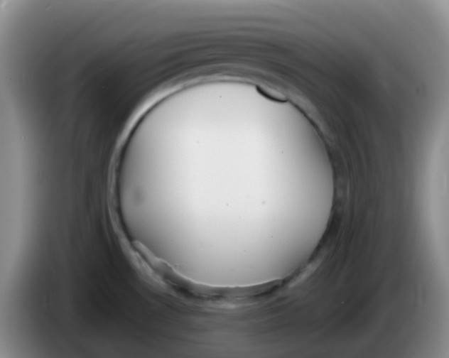 X0000084001530200703091855