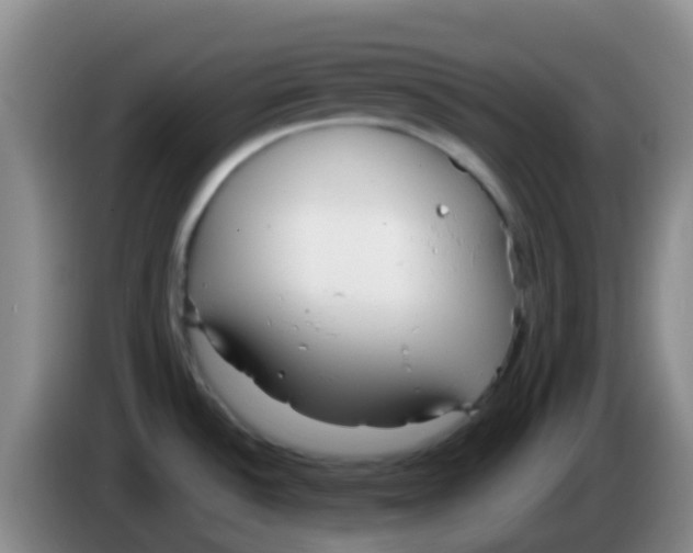 X0000084001532200703091855