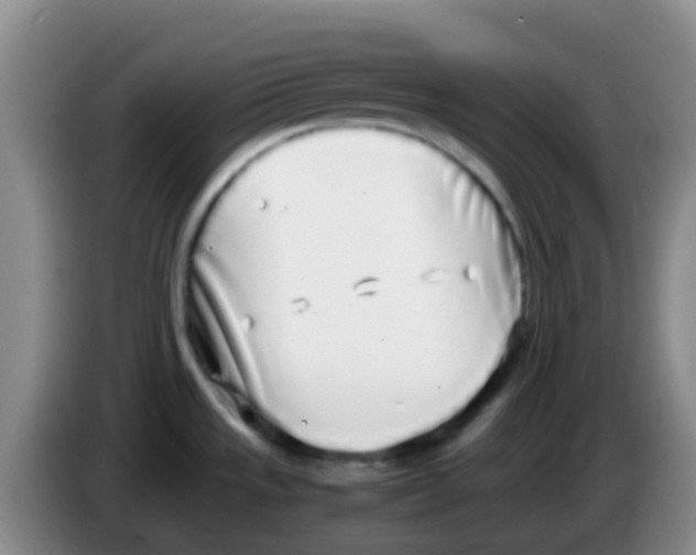 X0000084001533200703091855