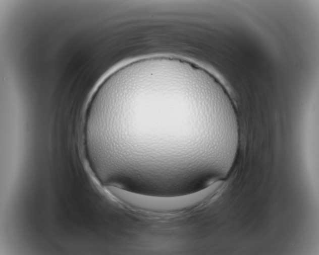 X0000084001534200703091855