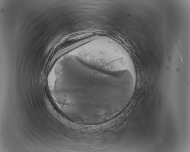 X0000084000002200703161700