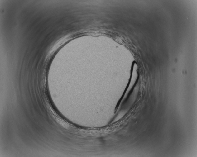 X0000084000005200703161700