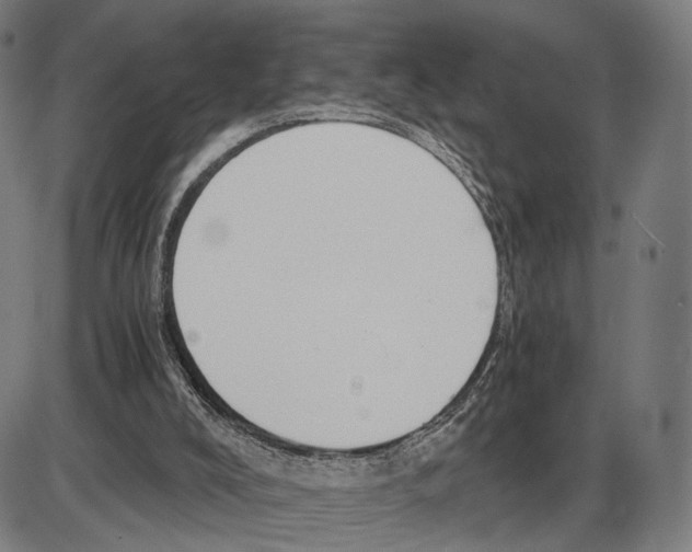 X0000084000008200703161700