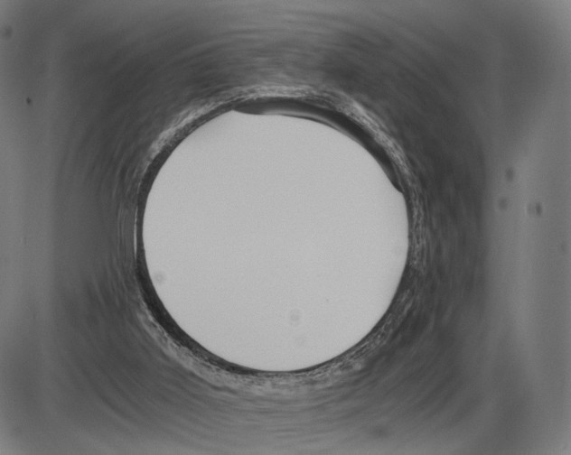 X0000084000011200703161700