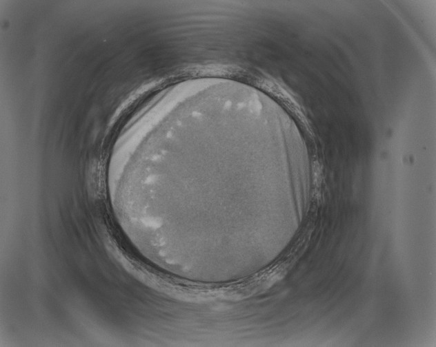 X0000084000012200703161700