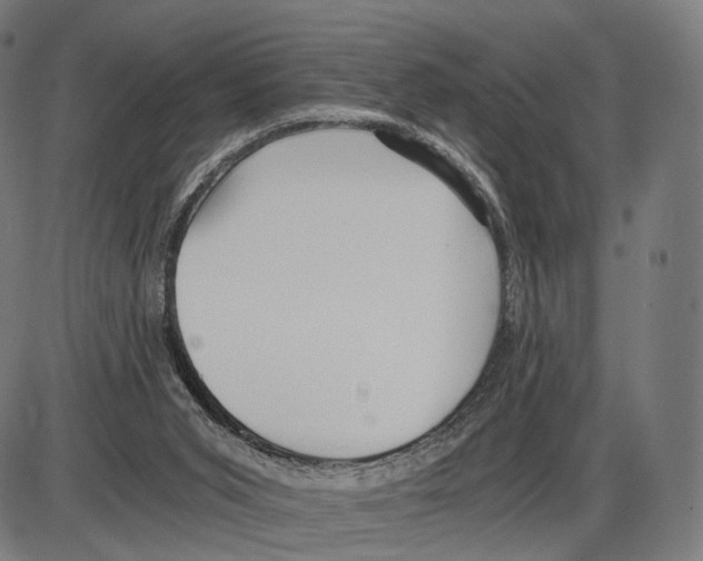 X0000084000015200703161700