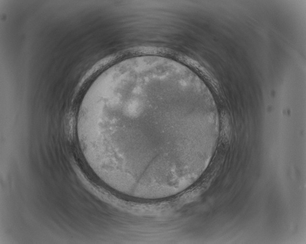 X0000084000016200703161700