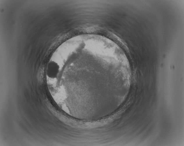 X0000084000018200703161700