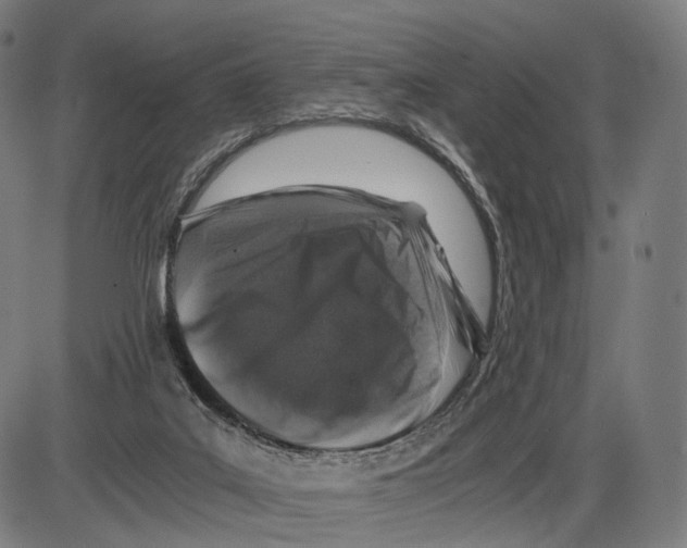 X0000084000019200703161700