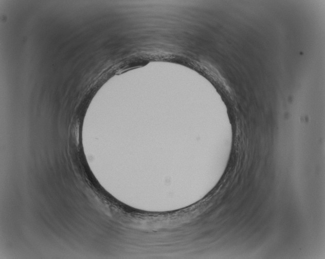 X0000084000021200703161700