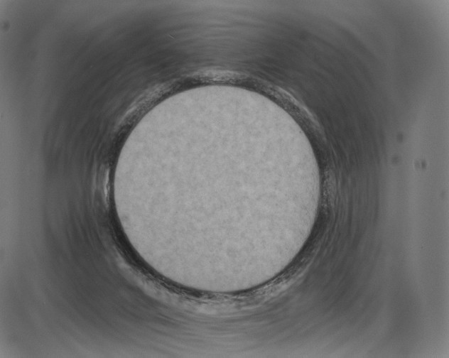 X0000084000024200703161700