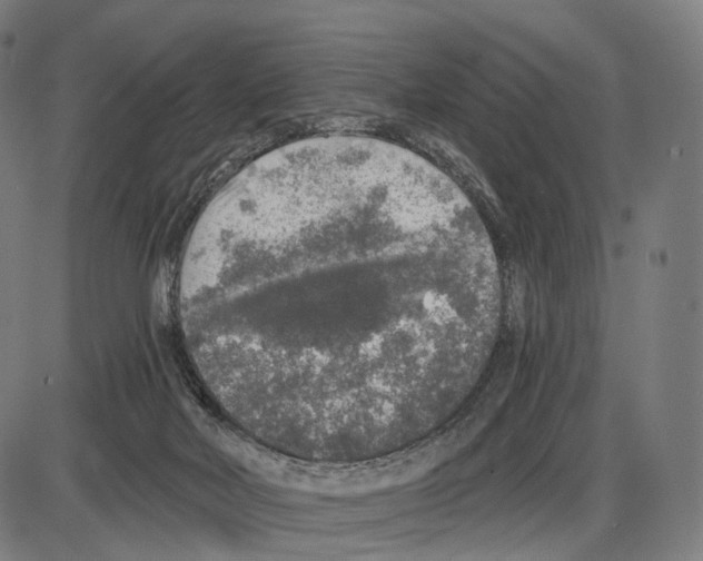 X0000084000026200703161700