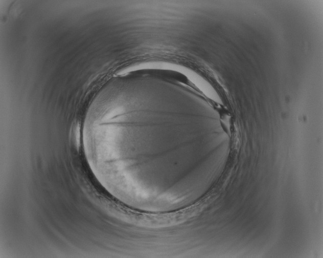 X0000084000027200703161700