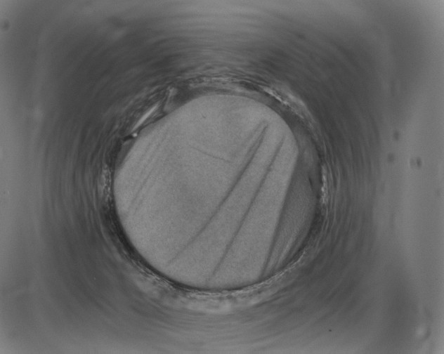 X0000084000029200703161700