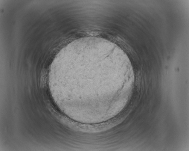X0000084000030200703161700