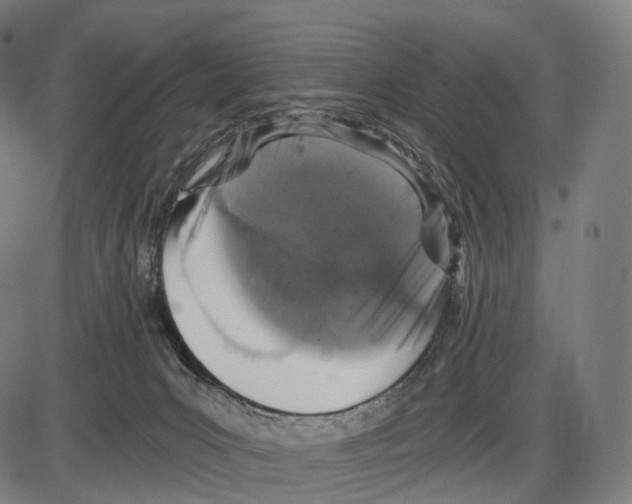 X0000084000031200703161700