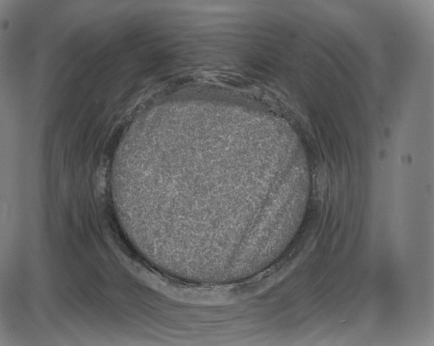 X0000084000032200703161700