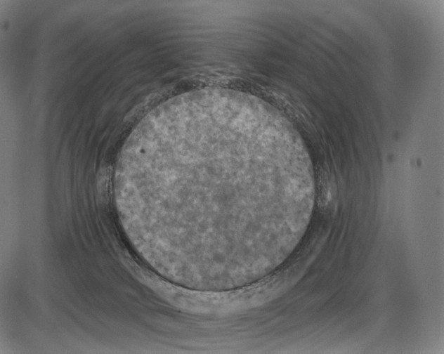 X0000084000034200703161659
