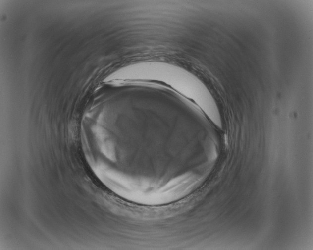 X0000084000035200703161659