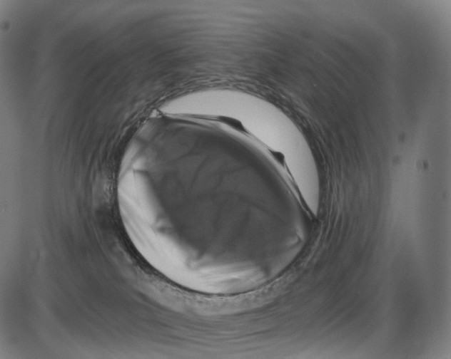 X0000084000039200703161659