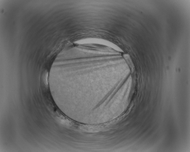X0000084000041200703161659