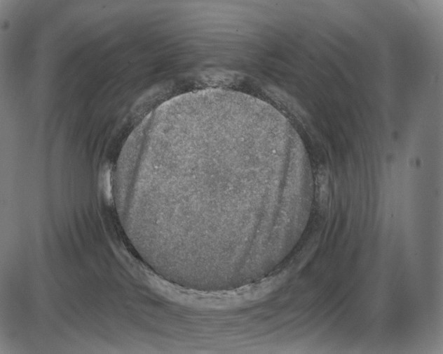 X0000084000042200703161659