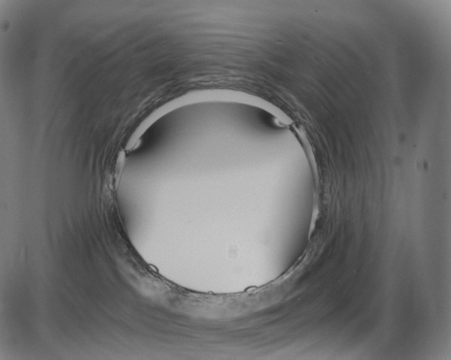 X0000084000045200703161659