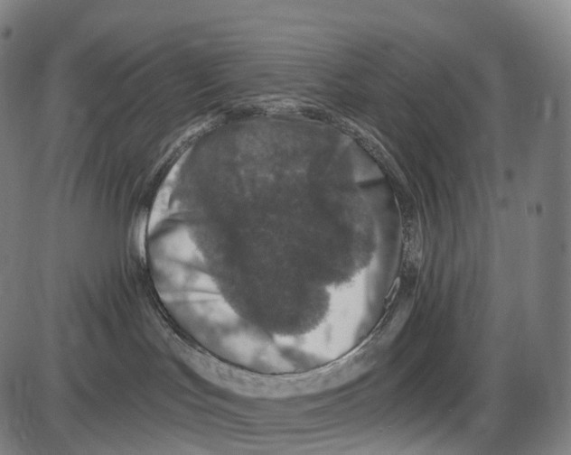 X0000084000047200703161659